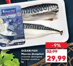 Kaufland OCEAN FISH Macrou decapitat eviscerat, decongelat Scomber scombrus Ofertă