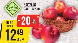 Mega Image Nectarine Ofertă