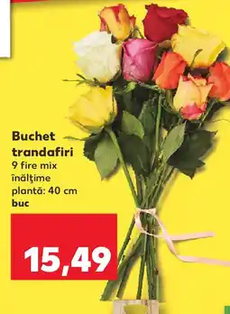 Kaufland Buchet trandafiri Ofertă