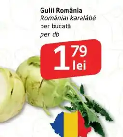 Supeco Gulii România Ofertă