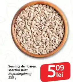 Supeco Semințe de floarea soarelui miez Ofertă