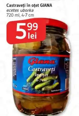 Supeco Castraveţi în oţet GIANA Ofertă