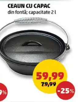 Penny CEAUN CU CAPAC Ofertă