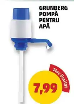 Penny GRUNBERG POMPĂ PENTRU APĂ Ofertă