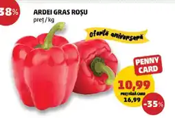 Penny Ardei gras roșu Ofertă