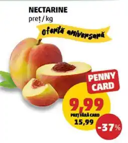 Penny Nectarine Ofertă