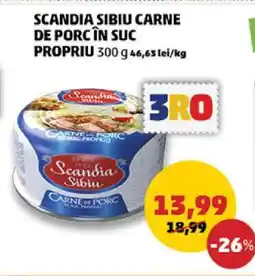Penny SCANDIA SIBIU Carne de porc în suc propriu Ofertă