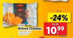 Lidl Brânză Cheddar Ofertă