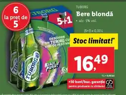 Lidl TUBORG Bere blondă Ofertă
