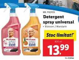 Lidl MR. PROPER Detergent spray universal Ofertă