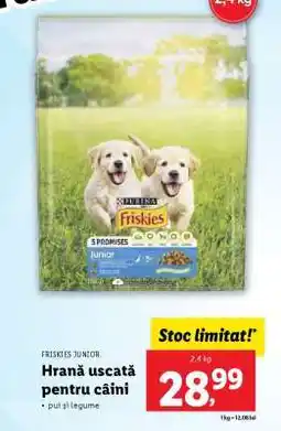 Lidl Friskies Junior Ofertă