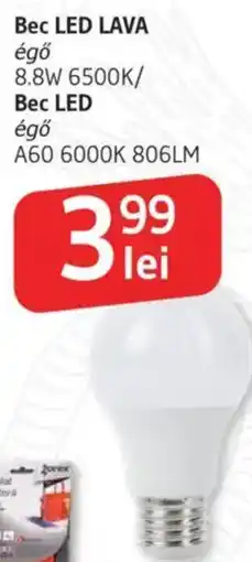 Supeco Bec LED LAVA Ofertă