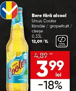 PROFI Bere fără alcool Ursus Cooler Ofertă