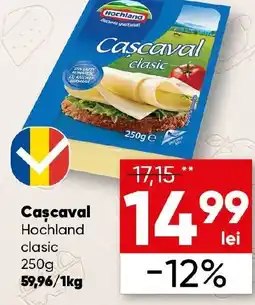PROFI Cascaval Hochland clasic Ofertă