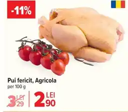 Carrefour Pui fericit, Agricola Ofertă