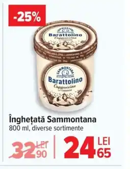 Carrefour înghețată Sammontana Ofertă