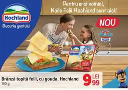 Carrefour Brânză topită felii, cu gouda, Hochland Ofertă