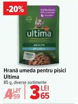 Carrefour Hrană umeda pentru pisici Ultima Ofertă