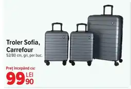 Carrefour Troler Sofia, Carrefour Ofertă