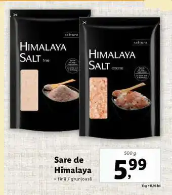 Lidl Sare de Himalaya Ofertă