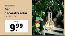 Lidl Bec decorativ solar Ofertă