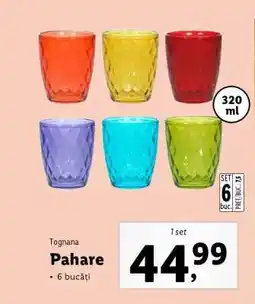 Lidl Tognana Pahare Ofertă