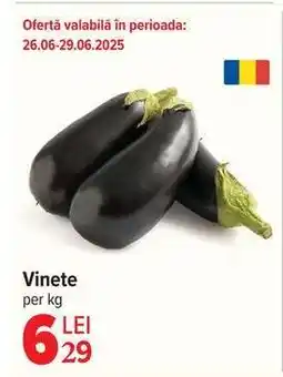 Carrefour Vinete Ofertă