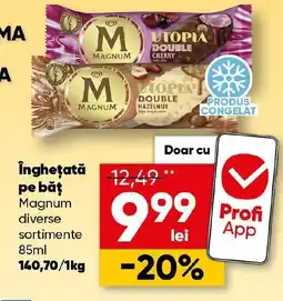 PROFI Îngheţată pe băţ Magnum Ofertă