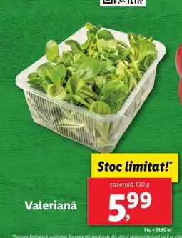 Lidl Valeriană Ofertă