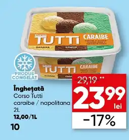 PROFI Îngheţată Corso Tutti caraibe / napolitana Ofertă