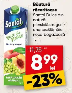 PROFI Băutură răcoritoare Santal Dulce din natură Ofertă