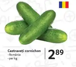 Selgros Castraveţi cornichon Ofertă