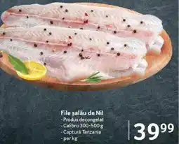 Selgros File şalău de Nil Ofertă