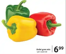 Selgros Ardei gras mix Ofertă