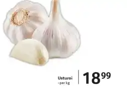 Selgros Usturoi Ofertă