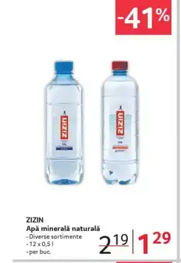 Selgros ZIZIN Apă minerală naturală Ofertă