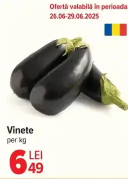 Carrefour Market Vinete Ofertă