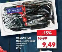 Kaufland OCEAN FISH Hamsie întreagă Ofertă