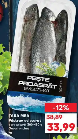 Kaufland TARA MEA Păstrav eviscerat Ofertă