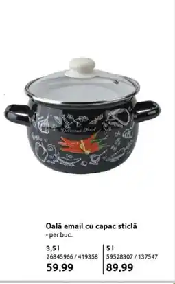 Selgros Oală email cu capac sticlă Ofertă
