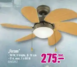 Hornbach Forano Ofertă