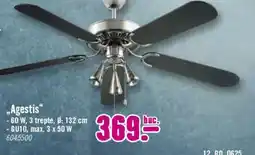 Hornbach Agestis Ofertă