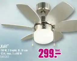 Hornbach Kalif Ofertă