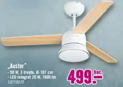 Hornbach Auster Ofertă