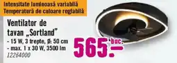 Hornbach Ventilator de tavan „Sortland Ofertă
