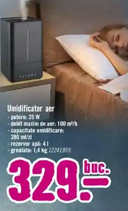 Hornbach Umidificator aer Ofertă