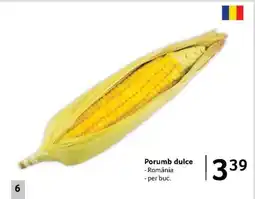 Selgros Porumb dulce Ofertă