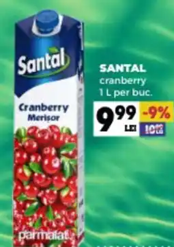 Annabella SANTAL cranberry Ofertă