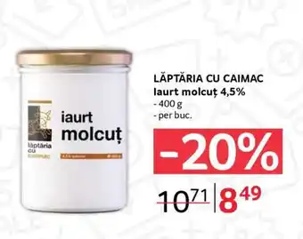 Selgros LĂPTĂRIA CU CAIMAC iaurt molcuț 4,5% Ofertă