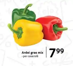 Selgros Ardei gras mix Ofertă